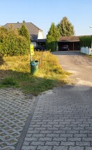 Foto: zuwachsen des Straßenbereiches 